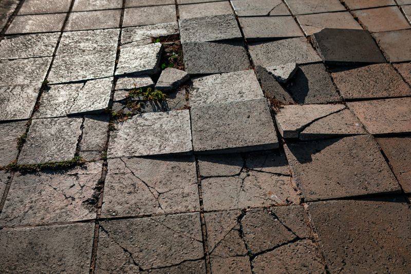Pavers Repair Work
